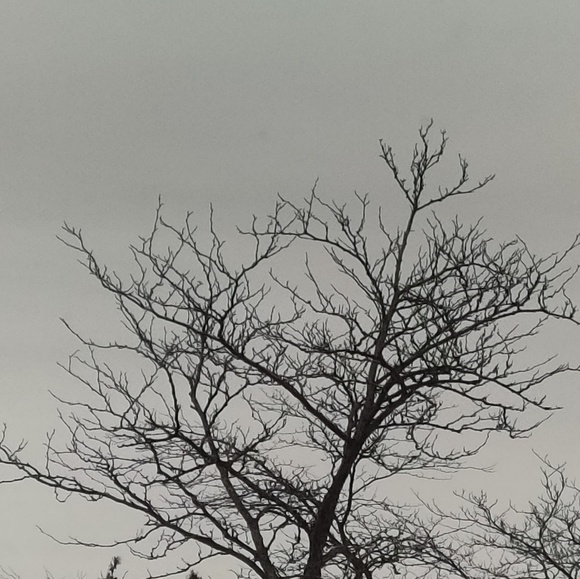 Meet your Posher, Mackkeyy - Picture 1 of 1